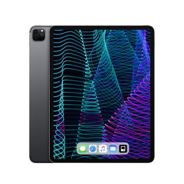Apple iPad Pro 3  (11") 256 GB Wi-Fi + Cellular - Space Grau